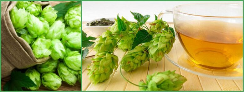 hop cone decoction for potency after 50